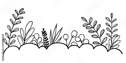 Minimalist nature doodles featuring elegant leaves and botanical elements