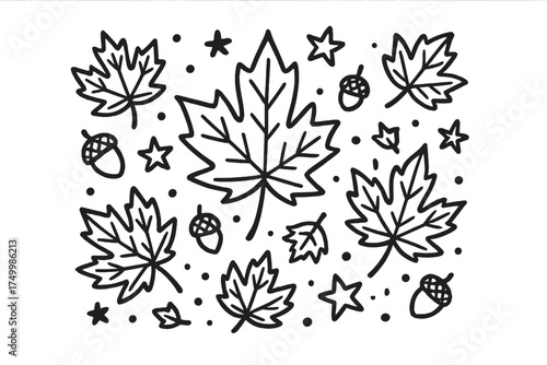 Maple Leaf Doodle. Maple leaf doodle vector with scattered leaves, acorns and stars isolated transparent background