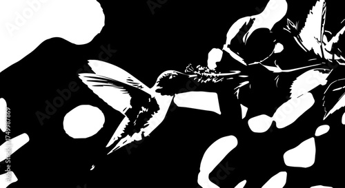 Black and White Hummingbird in Flight Feeding on a Flower, Vector Art.