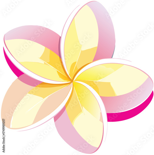 Stylized plumeria flower illustration with pink and yellow petals