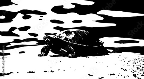 High contrast black and white scene of a resting turtle on the sandy shore.