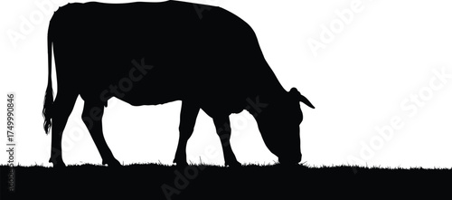 Black cow silhouette grazing on grass, farm animal vector, livestock profile design, 