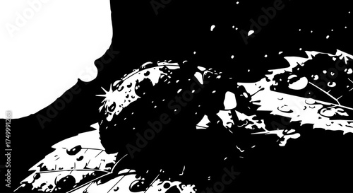 Black and White Image of a Detailed Blackberry with Leaf and Water Droplets.