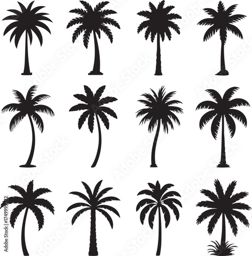 Palm tree silhouette collection tropical island vacation paradise set