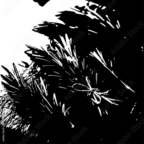 Black and White Silhouette of Pine Tree Branches with Needle Details.