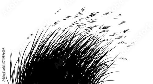 Black and White Stylized Illustration of Wind-Blown Grass Blades.