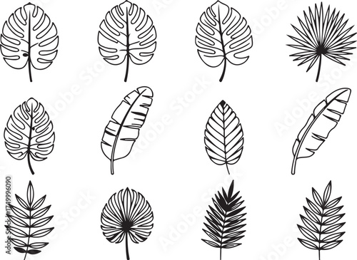 Tropical Leaf Line Art Collection — Monstera, Palm, and Banana Leaf Vector Set.