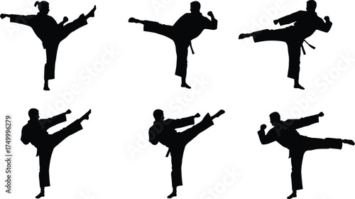 Martial arts silhouette, high kick pose, karate training, taekwondo action, black gi, barefoot fighter, combat stance, discipline