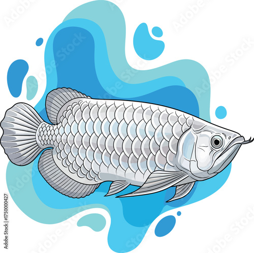 vector, illustration, platinum arowana fish, poster, background, design assets, animal