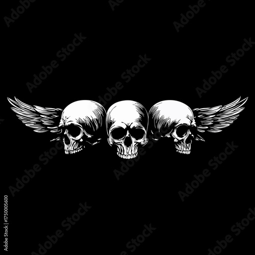 Three white human skulls with feathered wings illustration on black background. Dark gothic art for design and tattoo concepts.