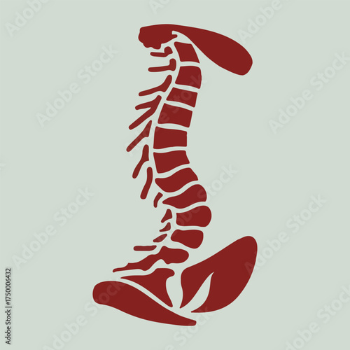 Creative human spine vector for World Spine Day, showing correct posture, yoga spine exercises, abstract geometric spine, glowing vertebrae, therapy, and back care awareness
