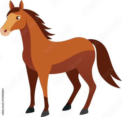 Horse white background