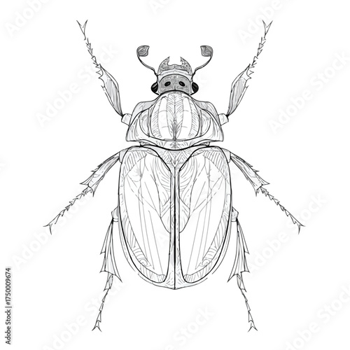Elegant Applique Beetle Top View Embroidery
