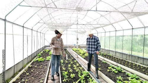 Gardener inspects and records quality of green lettuce in greenhouse cultivation. Horticulture farmer harvest healthy nutrition organic salad vegetables on hydroponic farm	