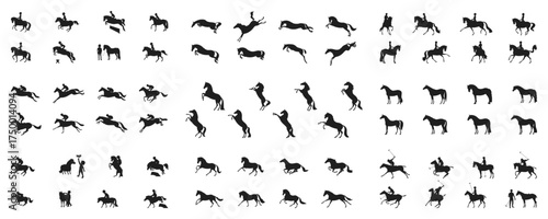 72 silhouettes of horses and riders in various poses including jumping, rearing, polo playing and dressage