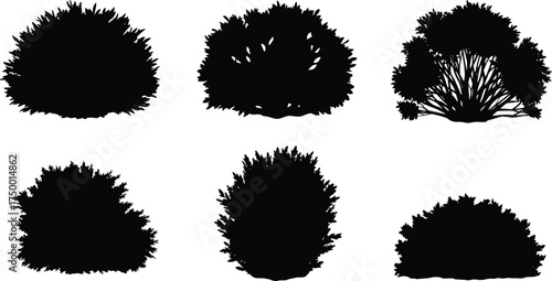  Bush silhouette collection, shrub and hedge shapes, garden plant outlines, natural foliage design, black botanical vector, landscape element set for illustration use