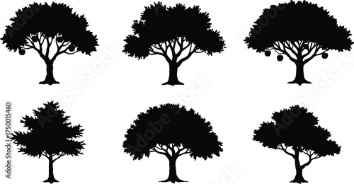 Collection of fruit and deciduous tree silhouettes, black vector nature illustration set, detailed organic tree design for landscape and botanical artwork
