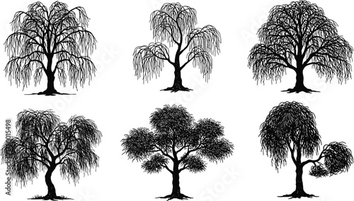  Collection of elegant willow tree silhouettes, vector illustration of weeping willow trees, nature landscape element, detailed botanical foliage artwork for design and decoration