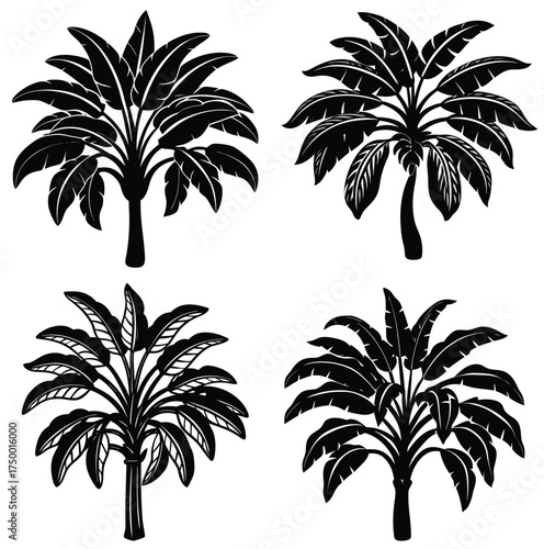 Line and coloring Tree icon set 