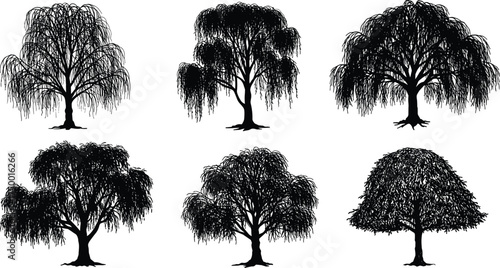  Collection of willow tree silhouettes, elegant weeping tree vector illustration, perfect for nature, landscape, botanical art, eco design, and forest graphic elements