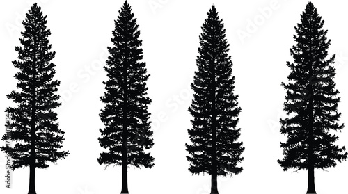  Evergreen pine tree silhouette collection, detailed conifer forest vector set, natural landscape illustration, black fir tree shapes for outdoor winter and mountain design projects