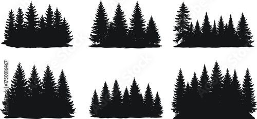  Set of pine forest silhouettes, detailed conifer tree vector illustration, black evergreen woodland design for nature, outdoor, landscape and wilderness artwork projects