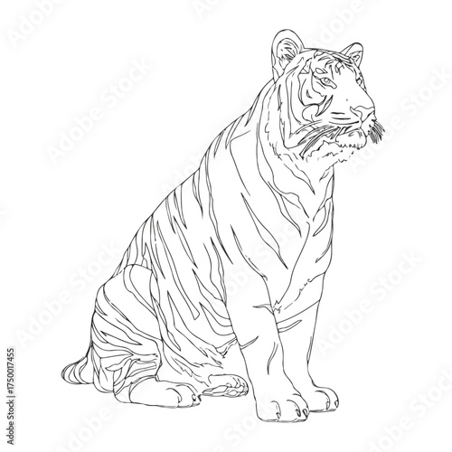 Tiger Applique Line Art for Embroidery