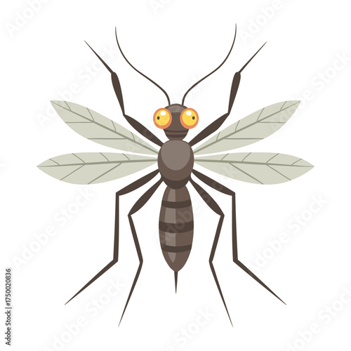 Detailed mosquito on a white background. Insect illustration