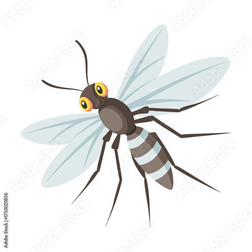 Detailed mosquito on a white background. Insect .