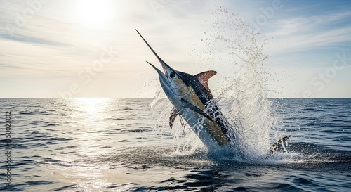 Majestic Marlin Leaping Out of the Ocean During a Fishing Trip