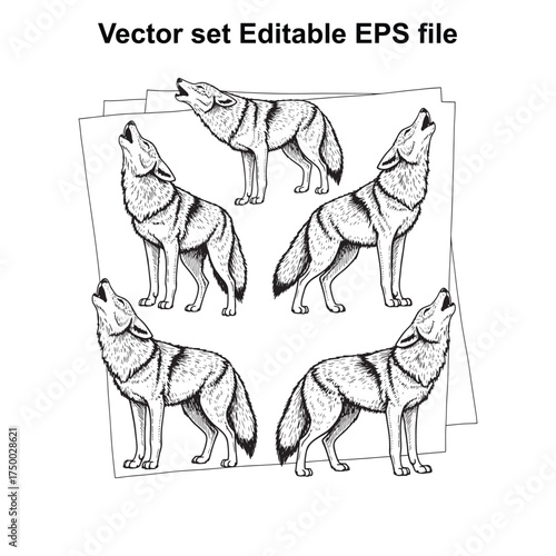 Vector art of a collection of five howling wolf illustrations in a vintage sketch style, isolated on a, perfect for graphic design and artistic projects