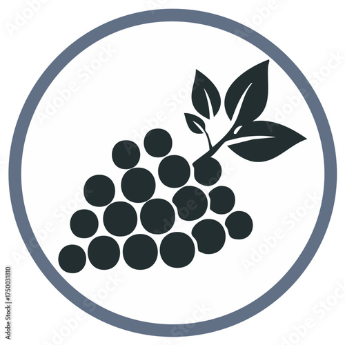 Grape Bunch Icon in Circle Frame Minimalistic Silhouette Image Fresh Fruit Vineyard Sign Healthy Food Symbol Wine Industry Symbol