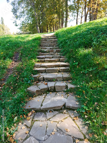 A stone staircase with leaves on the ground.