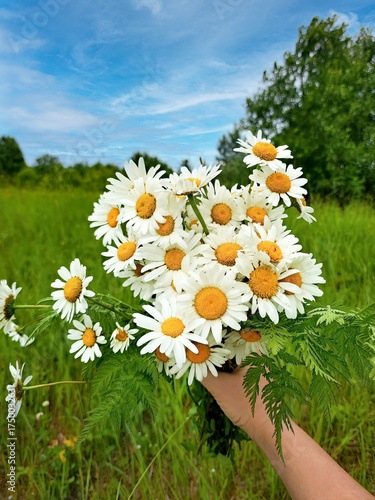 A person is holding a bunch of white flowers