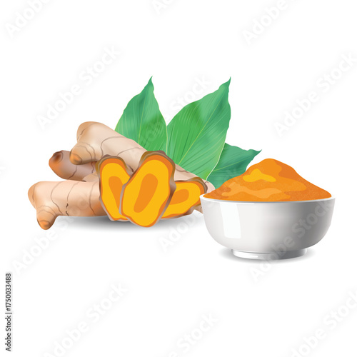Realistic vector illustration of fresh turmeric roots with green leaves and a bowl of turmeric powder, isolated on white background. Perfect for herbal, spice, and health-related designs