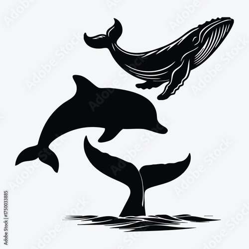 Dolphin and shark silhouette vector illustration in the ocean