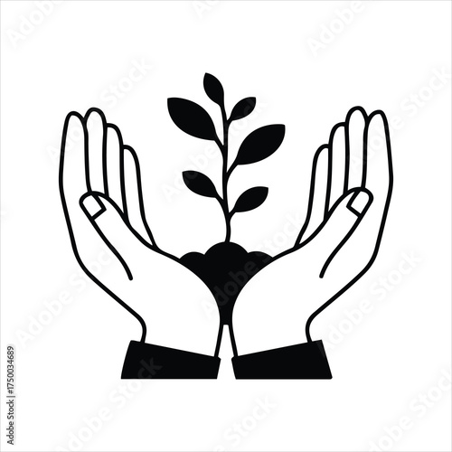 Hands gently cupping a growing seedling symbolizing growth protection care and new life