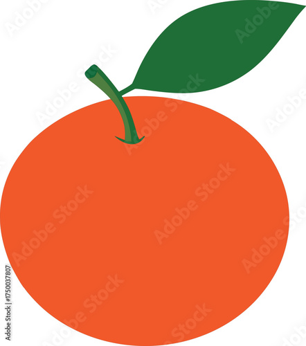 Simple illustration of a bright orange fruit with a green leaf and stem