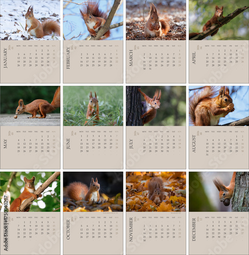 Calendar_2026_ENG_Squirel. Calendar for the 2026 year ENG with Squirrels size A5. 2026 year Photo calendar with cute squirrels. The week starts on Monday. Calendar with red squirrels 2026.