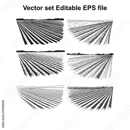 Vector art of vector set of cultivated agricultural fields with rows of crops, seen from above