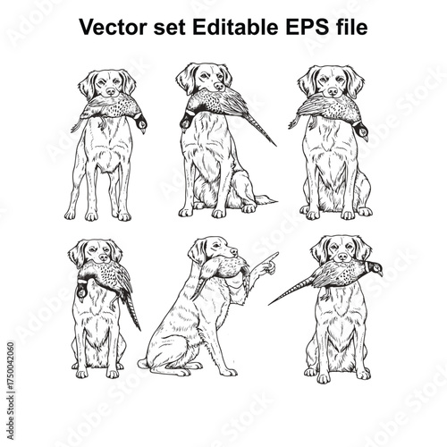Vector art of vector set of hunting dogs retrieving birds