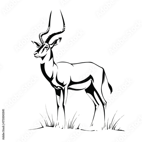 Sleek Monochrome Antelope Minimal Flat Vector