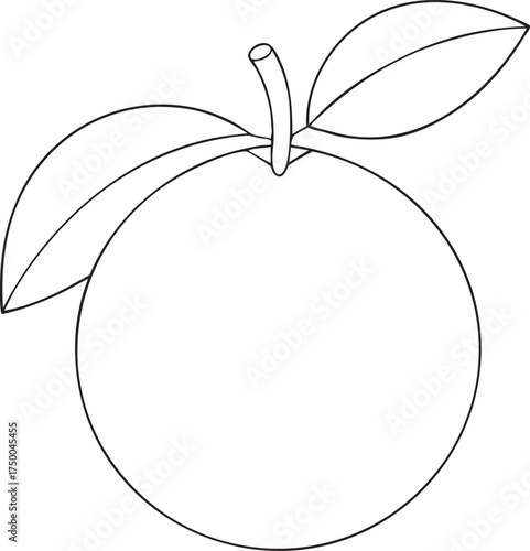 Simple outline drawing of round orange fruit with two leaves and stem minimal line art ideal for design applications