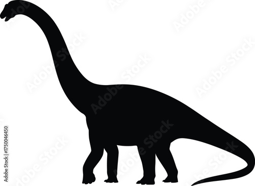 Silhouette of a brachiosaurus, a large, herbivorous dinosaur with a long neck isolated on white background