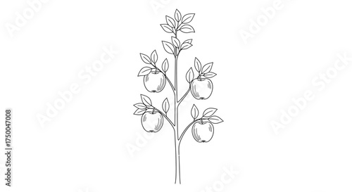 Red pencil with eraser for writing and drawing