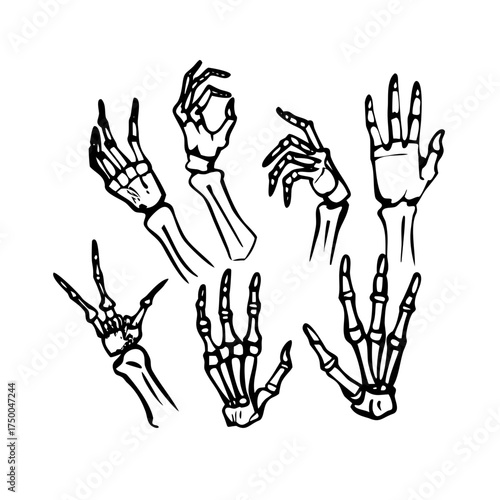 Collection of skeleton hands in different gestures
