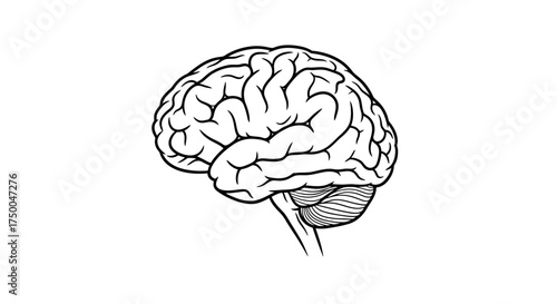 Hand drawn kitchen utensils and cooking ingredients