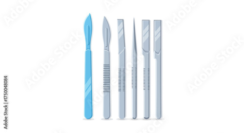 Collection of sterile surgical scalpels and dissection tools.