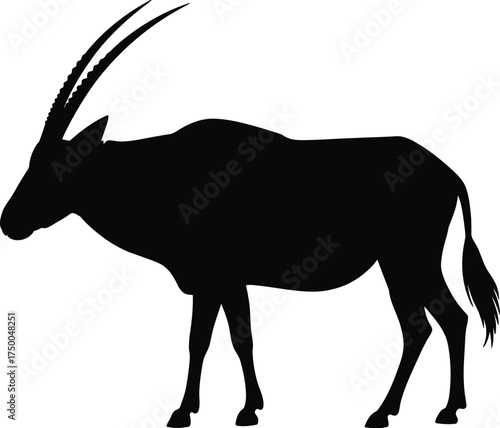 Silhouette of a majestic oryx with long, curved horns, standing gracefully isolated on white background