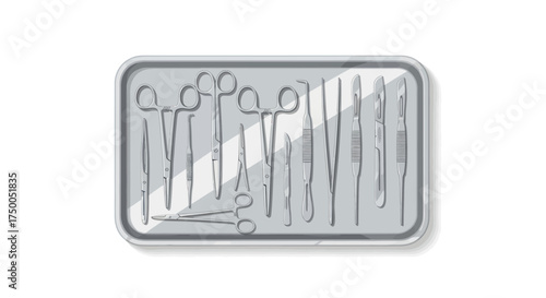 Surgical Instruments in a Tray.